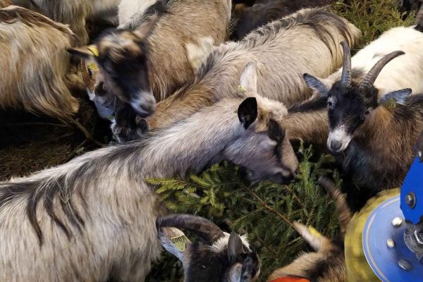 474529319_1031309679043699_3640560172123097516_n 474529319_1031309679043699_3640560172123097516_n