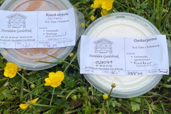 480176229_1049370587237608_4130031724371201361_n 480176229_1049370587237608_4130031724371201361_n