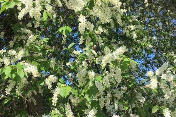 480282452_1048718413969492_6820938417748116753_n 480282452_1048718413969492_6820938417748116753_n