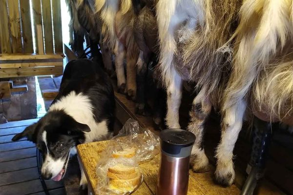 480284726_1049496740558326_6800570589928085034_n 480284726_1049496740558326_6800570589928085034_n