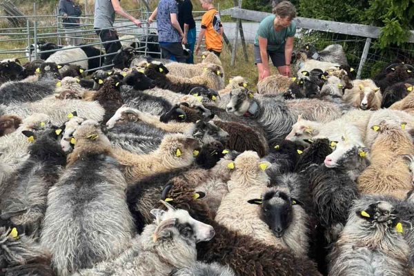 480420665_1051509017023765_9207448821336448163_n 480420665_1051509017023765_9207448821336448163_n