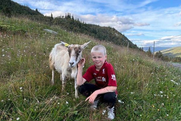 480463483_1051501137024553_2382310478334090519_n 480463483_1051501137024553_2382310478334090519_n