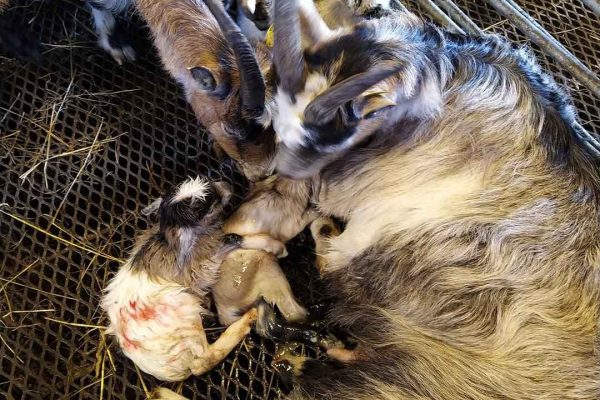 485013058_3413666112099715_1653463460044298445_n 485013058_3413666112099715_1653463460044298445_n