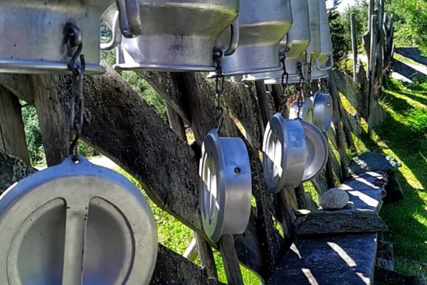 486787745_3425964657536527_4976816990692750553_n 486787745_3425964657536527_4976816990692750553_n