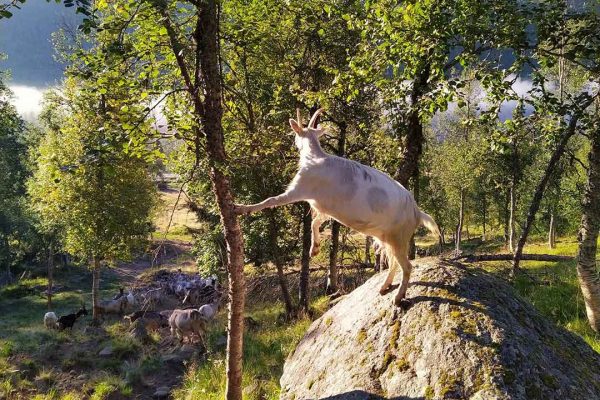 487318236_3425965430869783_3707706227078280605_n 487318236_3425965430869783_3707706227078280605_n