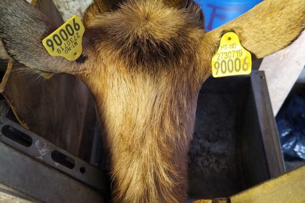 487362535_3425964420869884_6982760011418125483_n 487362535_3425964420869884_6982760011418125483_n