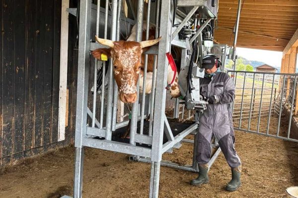 494916304_1110274767813856_794343053747587586_n 494916304_1110274767813856_794343053747587586_n