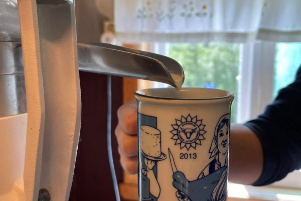 514240416_1151728240335175_8993621804873787878_n 514240416_1151728240335175_8993621804873787878_n